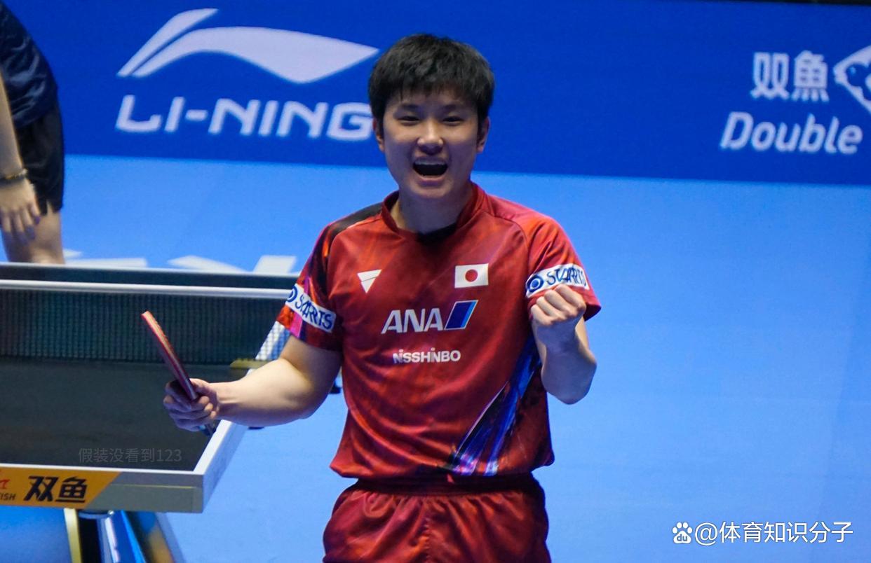 奥地利队险胜法国队,张本智和状态火热 奥地利队险胜法国队,张本智和状态火热