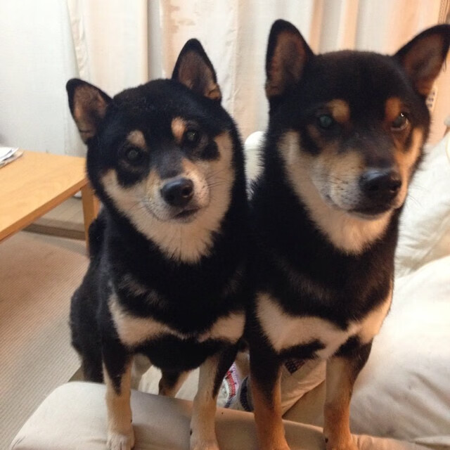 绿茵公牛撞碎三晋铁壁，一场跨越时空的强行终结