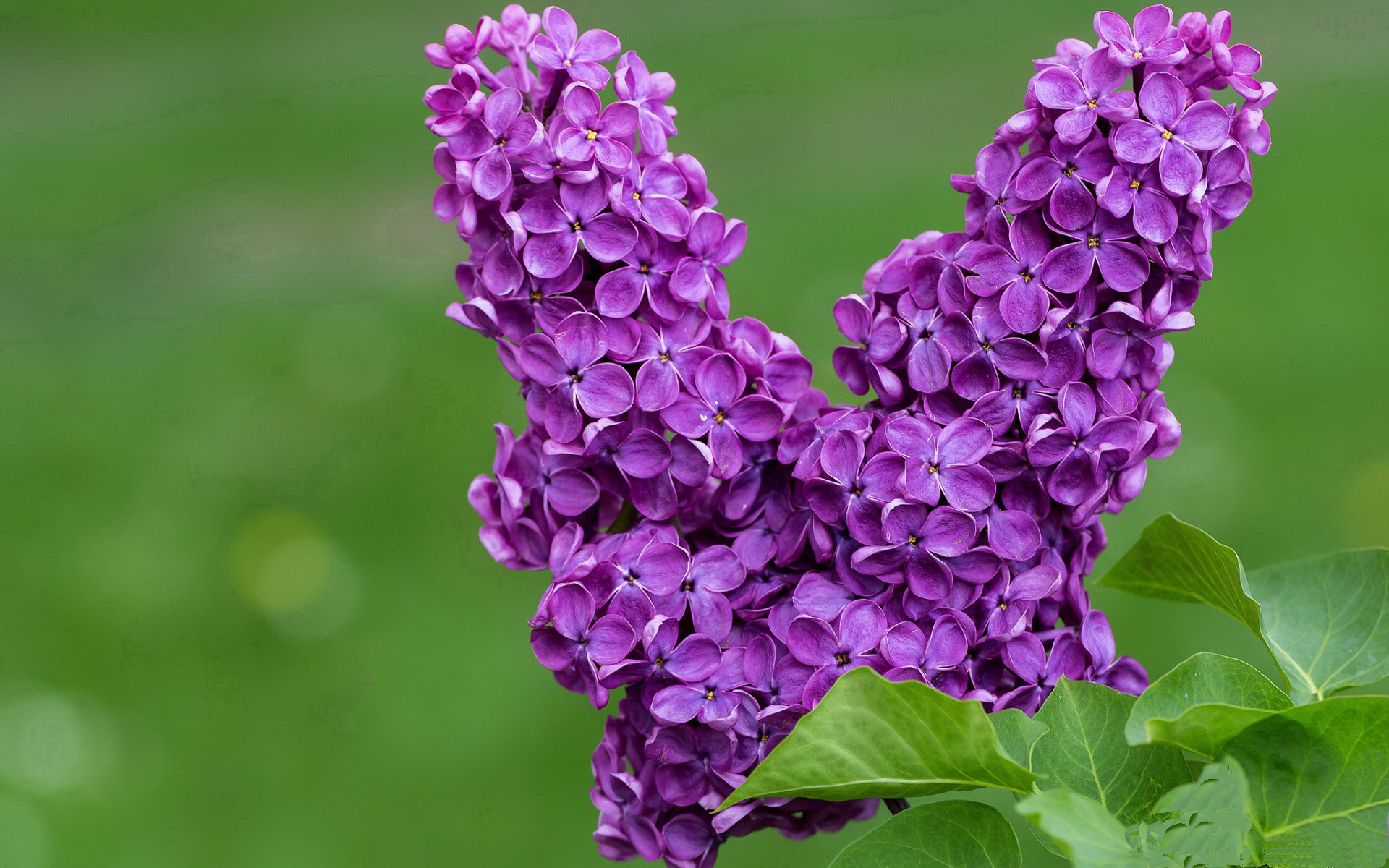 唯一性,当德意志战车在欧冠之夜碾过冰岛—记一场超越赛事范畴的焦点战