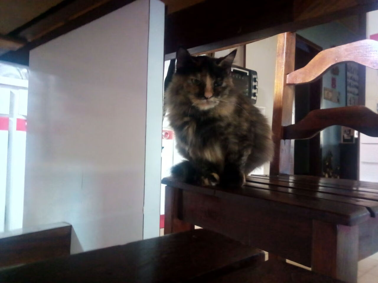 F1年度争冠之夜,门迪教科书级表现铸就传奇