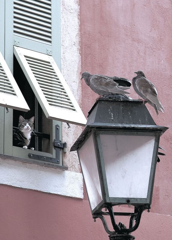 从尼斯到哥斯达黎加,莱奥在越大舞台上绽放的封神之路