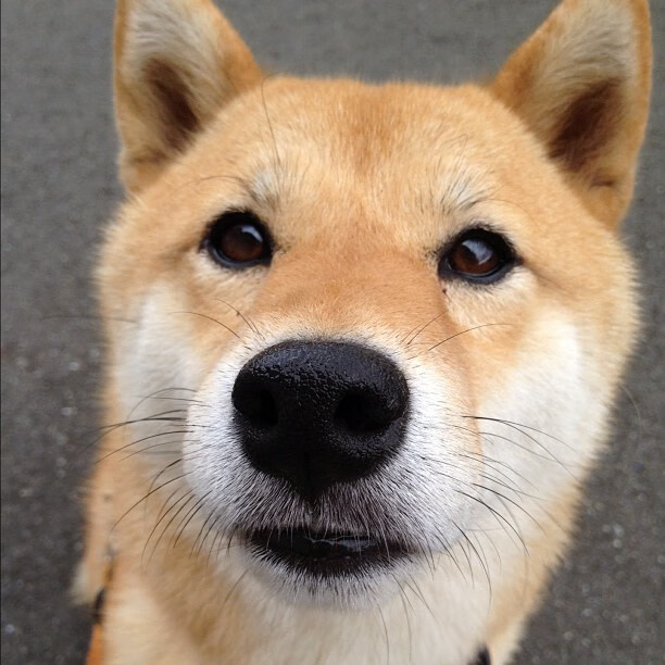 突破封锁的艺术，从德布劳内的绿茵统治到德国的国际破局