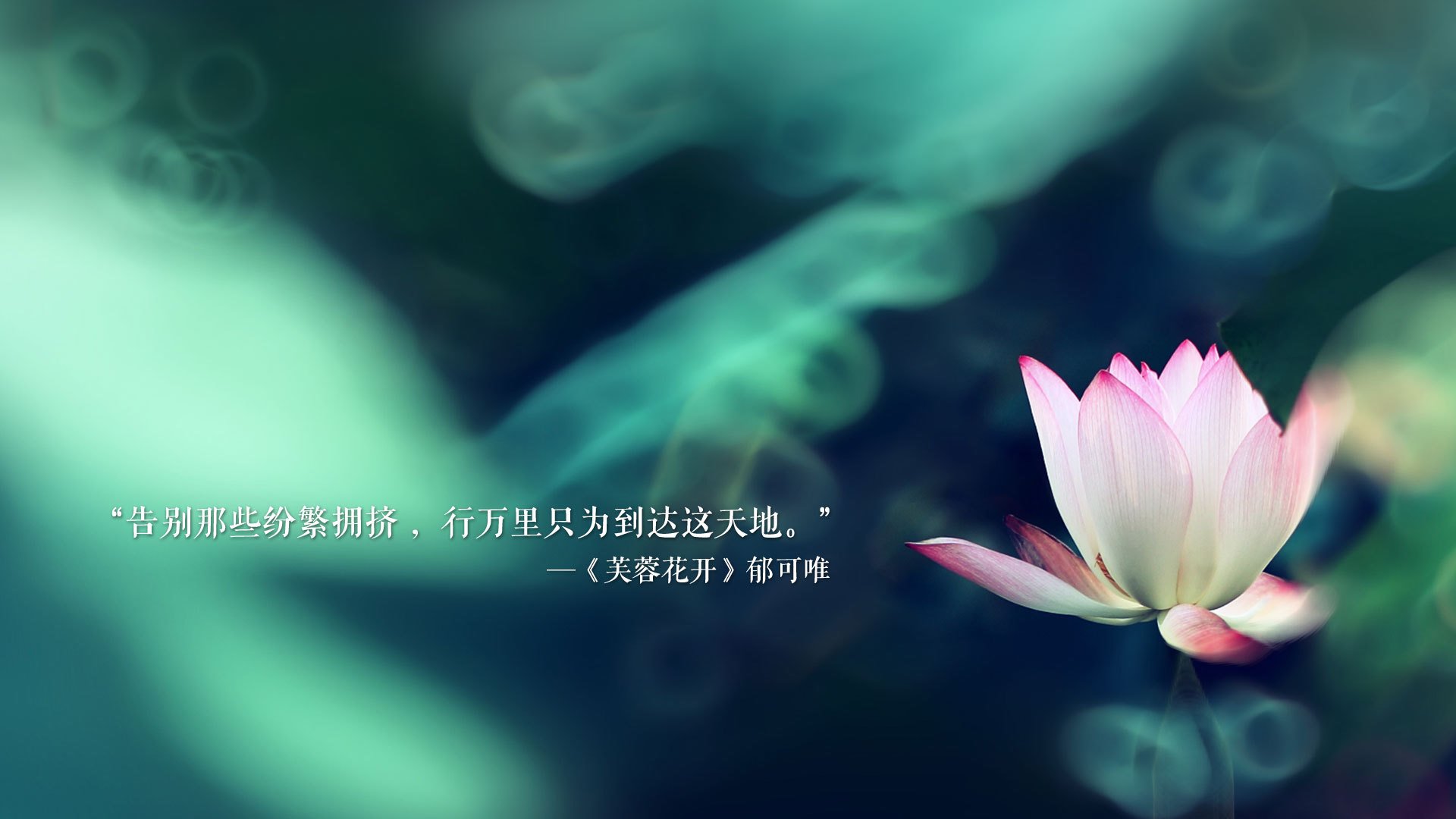F1引擎轰鸣时,他进球抢戏