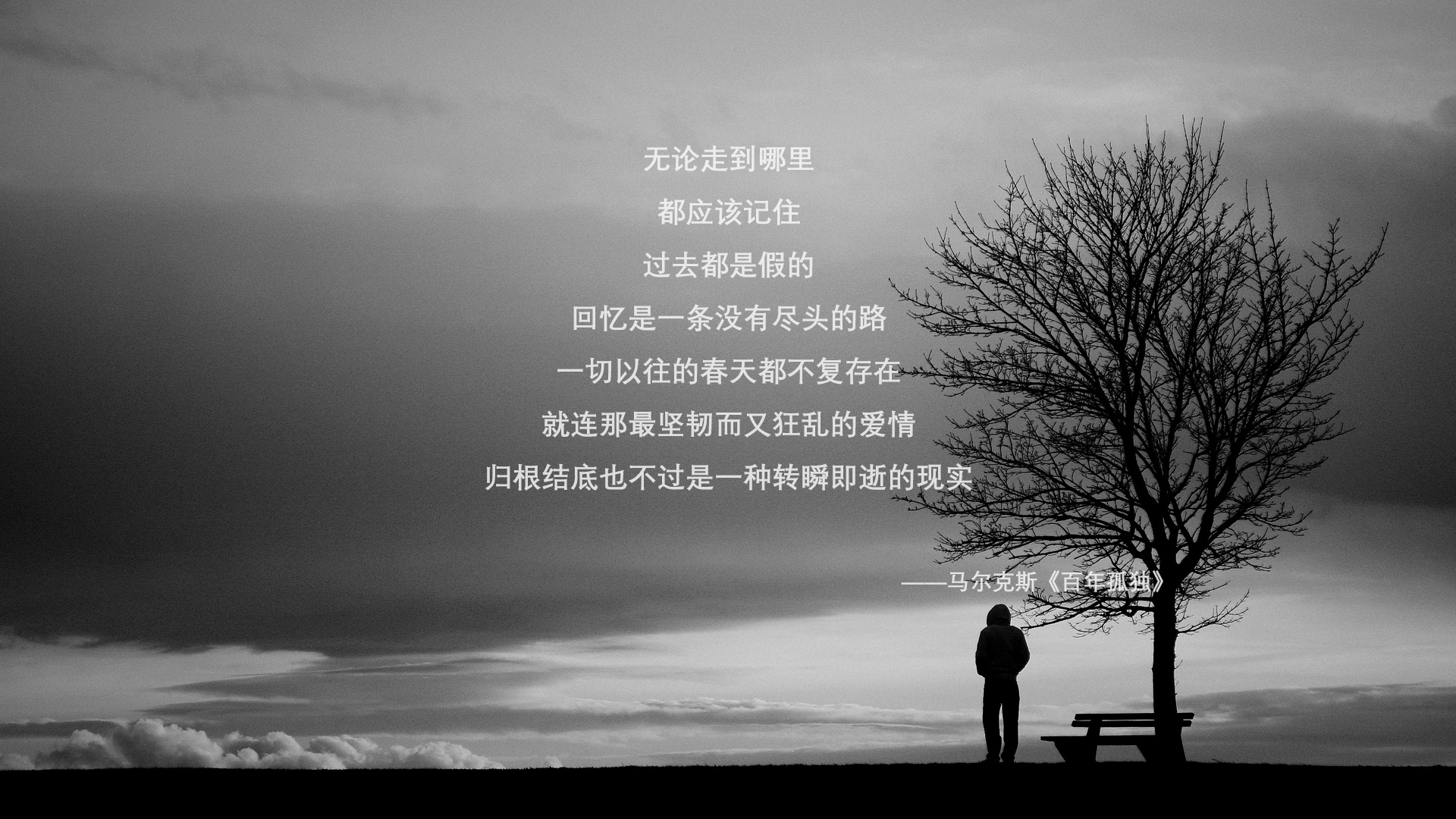 沉默巨兽，当文班亚马在风暴中心成为最稳定的坐标系