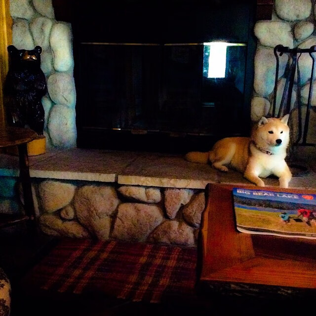 厄瓜多尔对阵曼联，卡拉斯科那条决定命运的折线