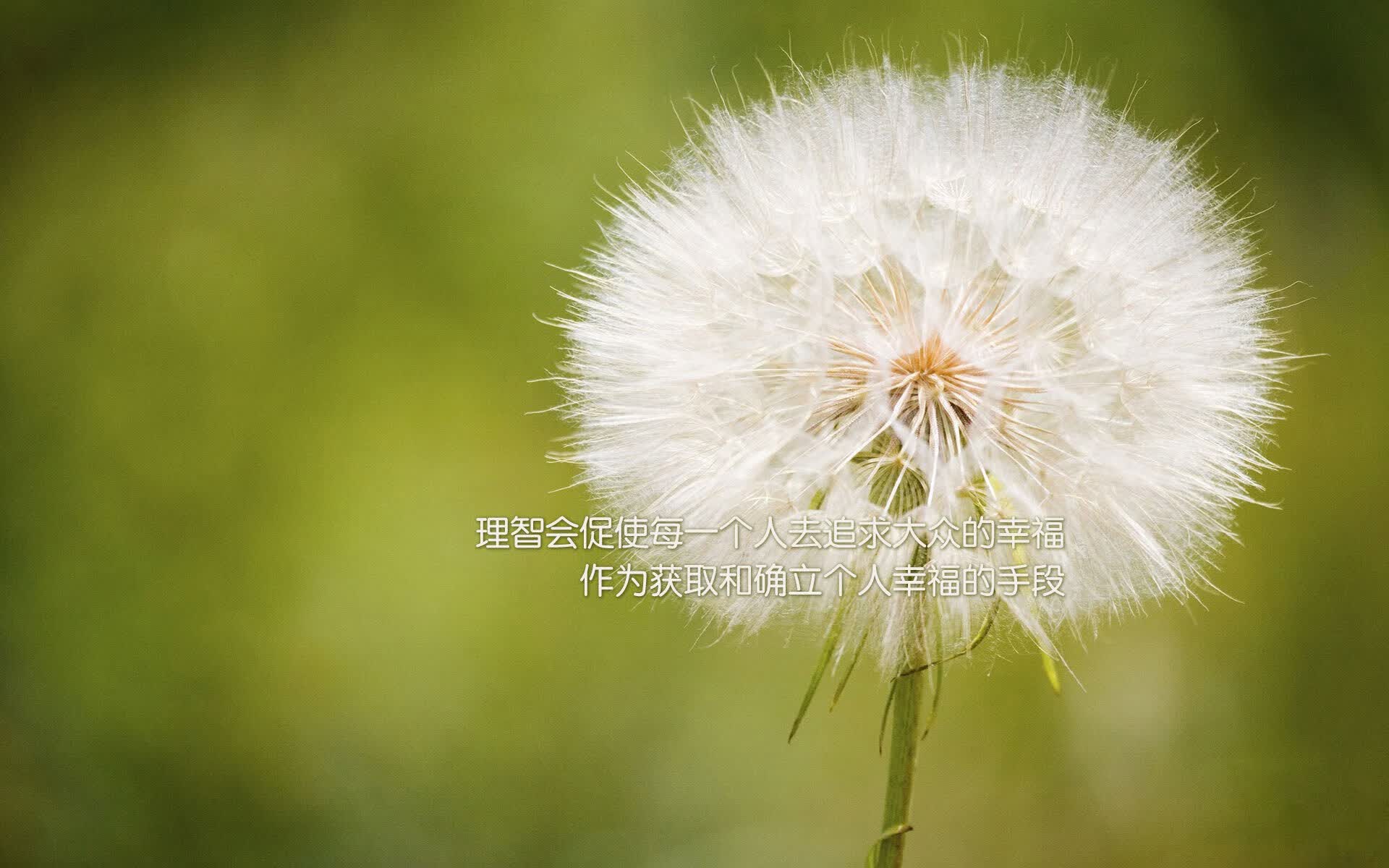 非常有戏剧性,充满了小国奇迹与新王登基的张力。我先为你拓展思维,构思几个不同风格的标题,再选择其中一个最具唯一性和文学色彩的方向,完成文章