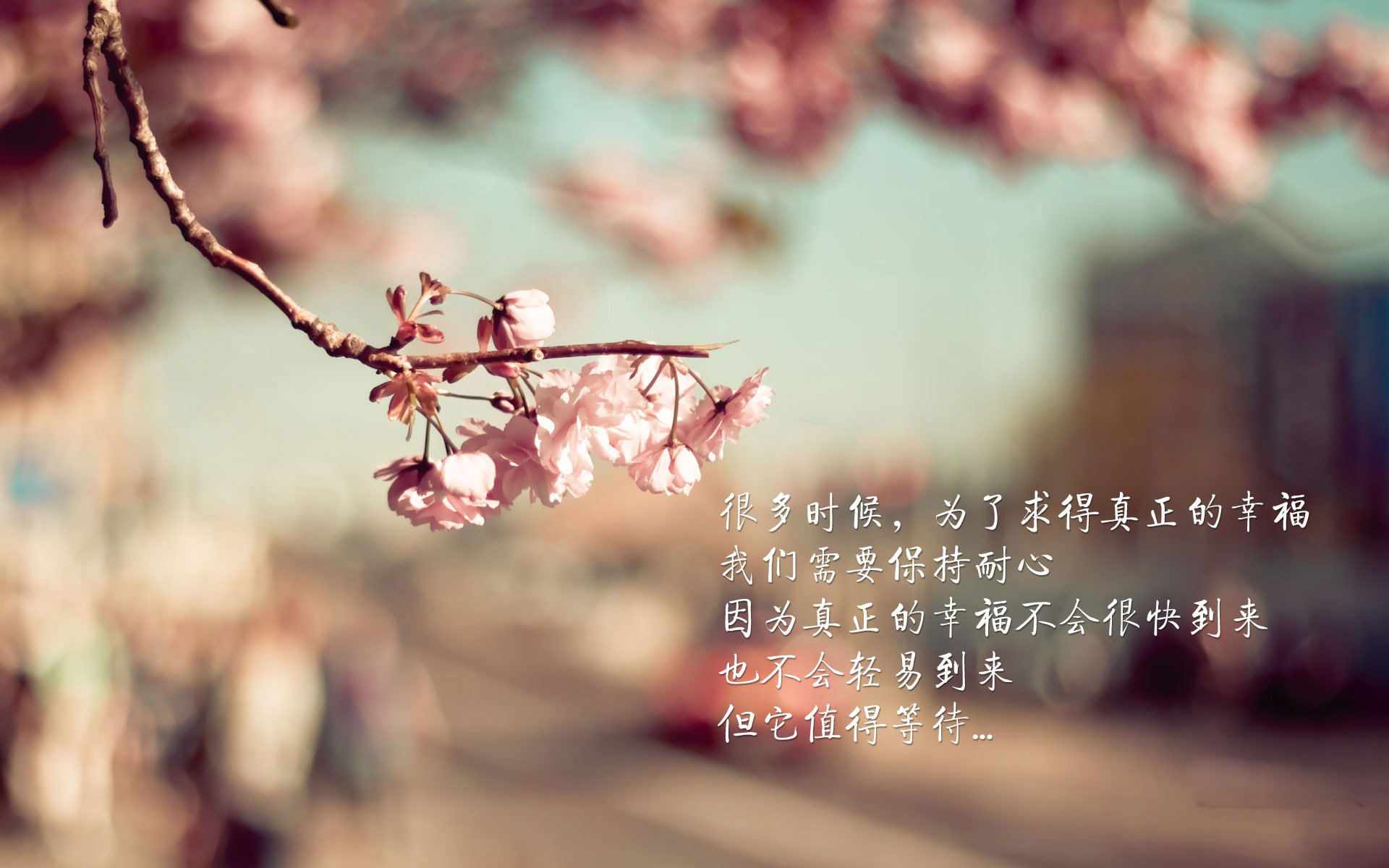 沙漠之狐的惊世獠牙，当阿联酋血洗奥地利，孙兴慜的太极虎归途刺穿世界杯最离奇的F组